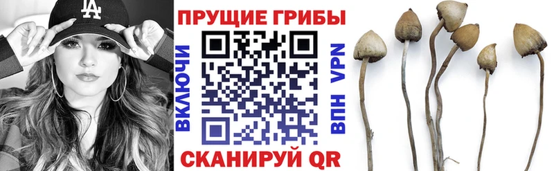 наркошоп  Туймазы  blacksprut   дарк нет наркотические препараты  Галлюциногенные грибы ЛСД 